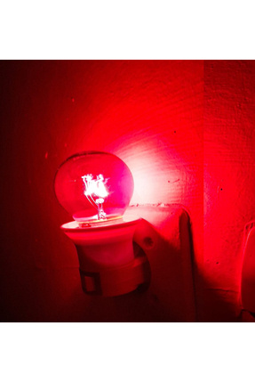 Kırmızı Akkor Flamanlı Top 10 Watt Gece Ampulü 1 Adet Image 0