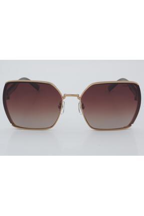 Güneş Ds 2200 C4 61 - 01 Güneş Gözlüğü Image 0