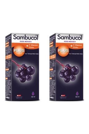 Plus Kara Mürver Özütü C Vitamini & Çinko 120 ml 2 Adet Image 0