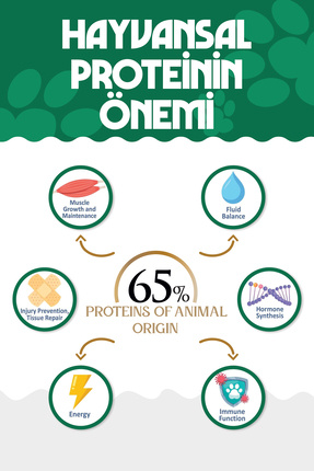 PREMIUM Somonlu Kuru Kedi Maması 2 kg Salmon Adult Cat Image 2