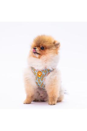 Pizza Air-mesh Göğüs Tasması Kedi Köpek Göğüs Tasması Image 0