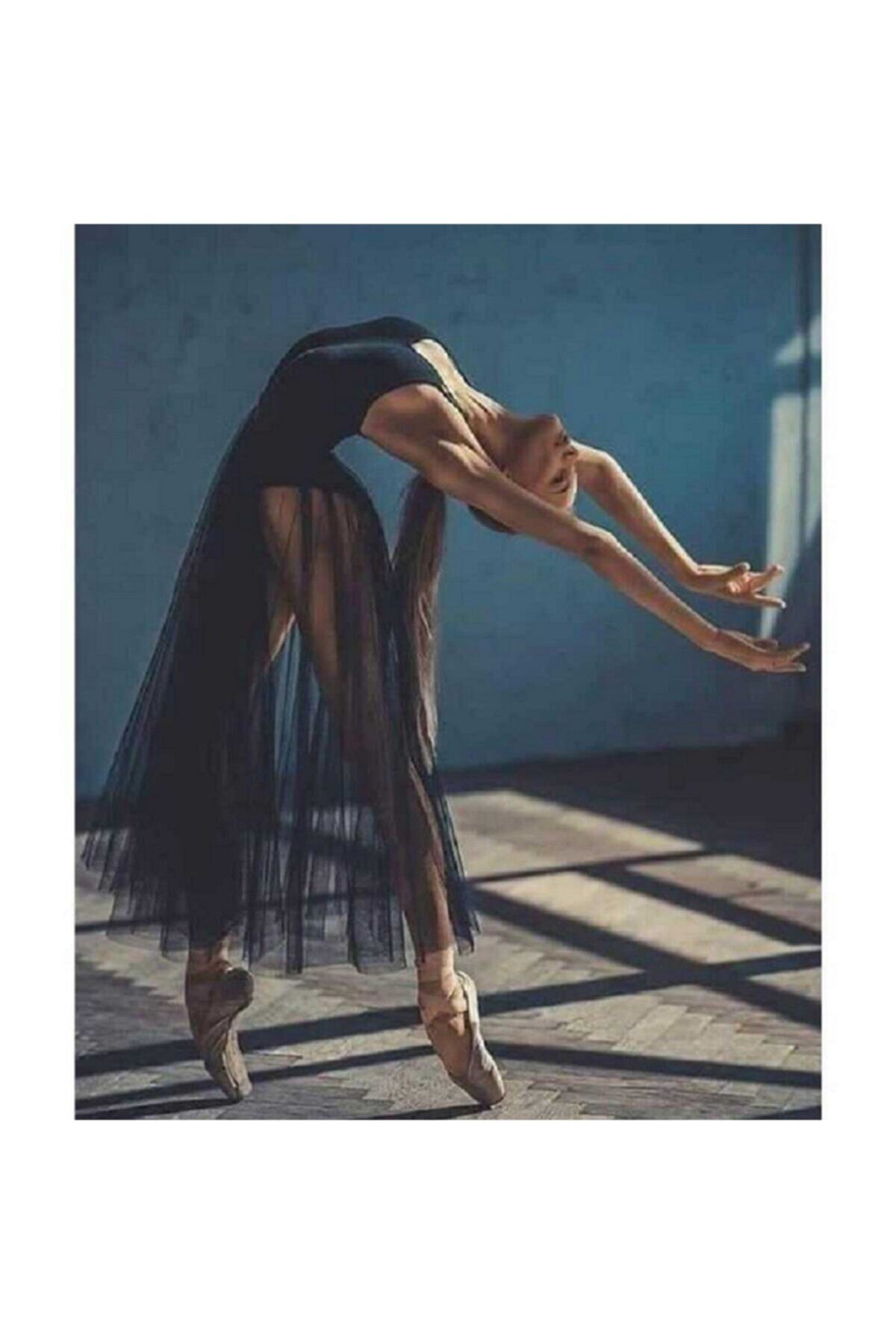 LİLYHOBBYLAND Sayılarla Boyama 60*75 Cm (çerçeveli ) Tuval: Siyah Balerin