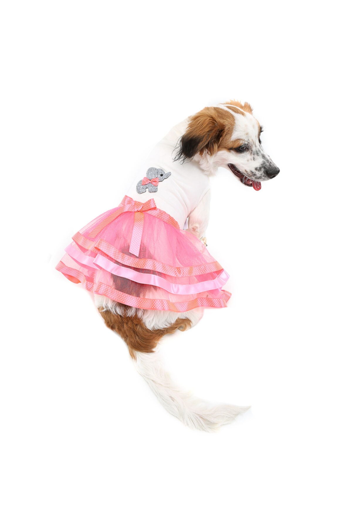 DOGİ&DOG Küçük Irk Fil Tütü Kedi Köpek Elbisesi Kedi Köpek Kıyafeti