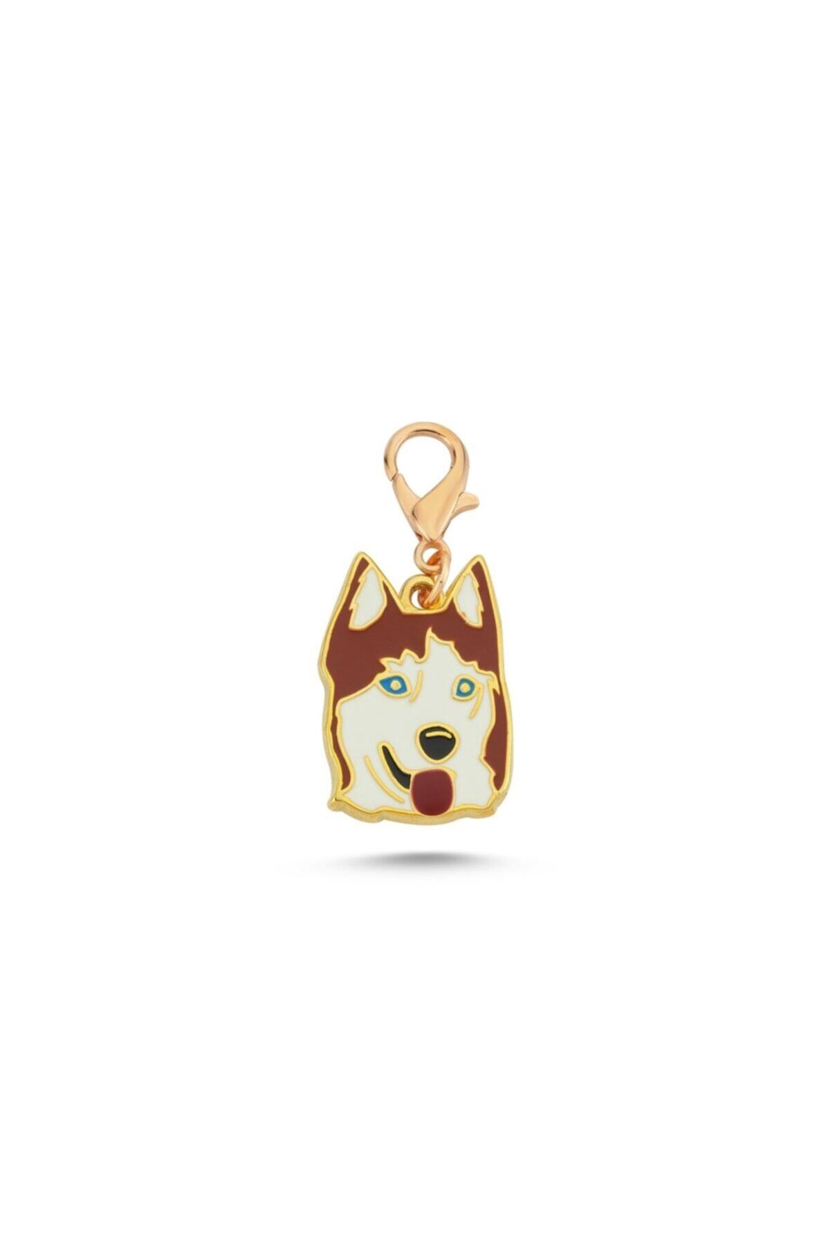 altın pati Husky Kızıl Beyaz Mineli Tasma Aksesuarı