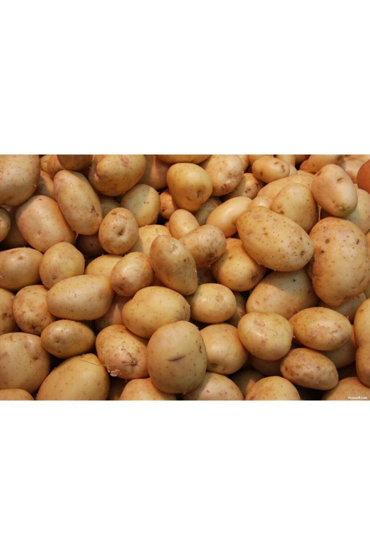 Afyon Haşlamalık Patates 10 Kg