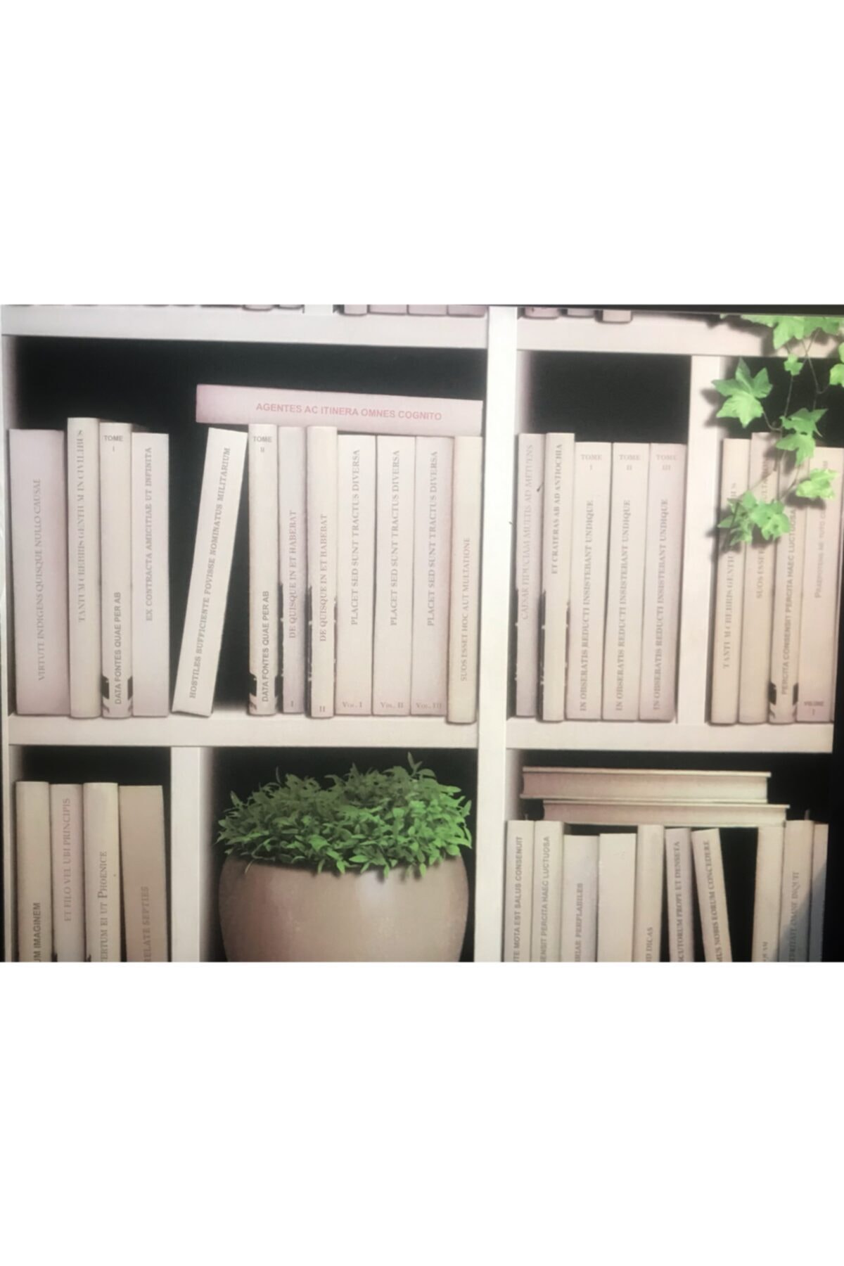 BAŞYAPI DİZAYN Kitaplık Desenli Ithal Duvar Kağıdı (5M²)