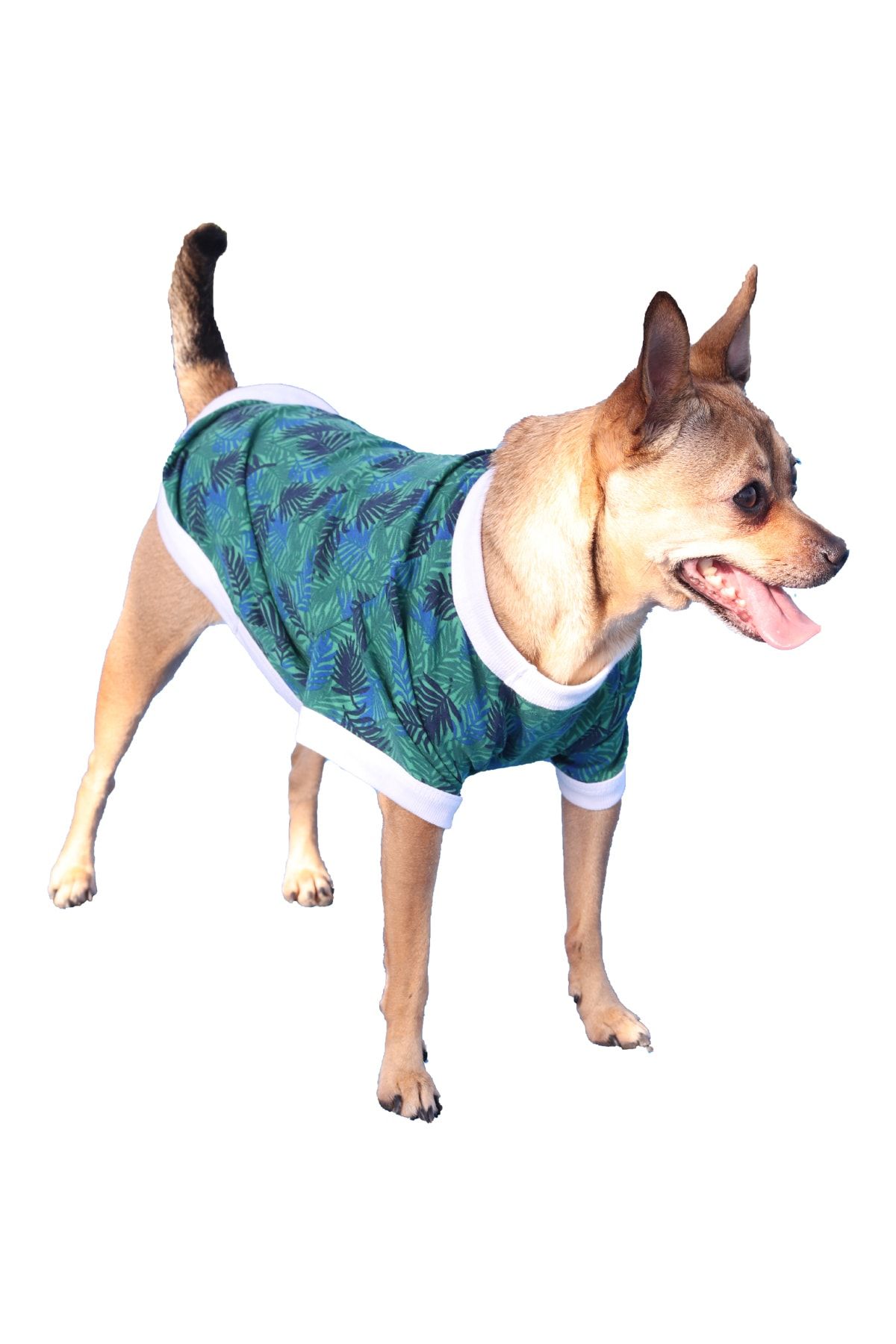 Falpaw Tropikal Desenli Kedi & Köpek Kıyafeti Tshirt