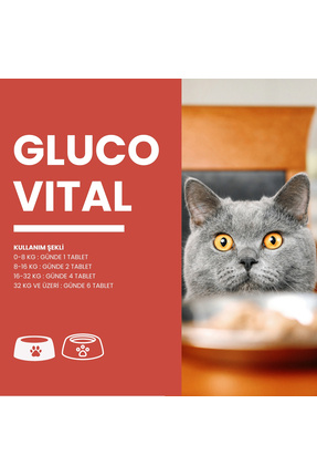 Glucovital 75 Tablet Kedi Ve Küçük Irk Köpekler Için Kas Ve Eklem Desteği Image 3