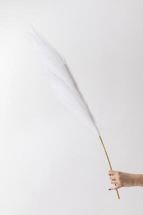 Yapay Pampas Çiçeği 100 Cm Tek Dal Beyaz Image 0