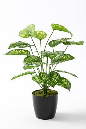 Yapay Salon Köşe Çiçeği Devetabanı Yeşil Sarı 65 Cm Image 0