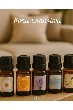 1 ADET Hava nemlendiricisi buhar makineleri banyo spa Koku esansı 10ml koku rastgele seçilecektir Image 0