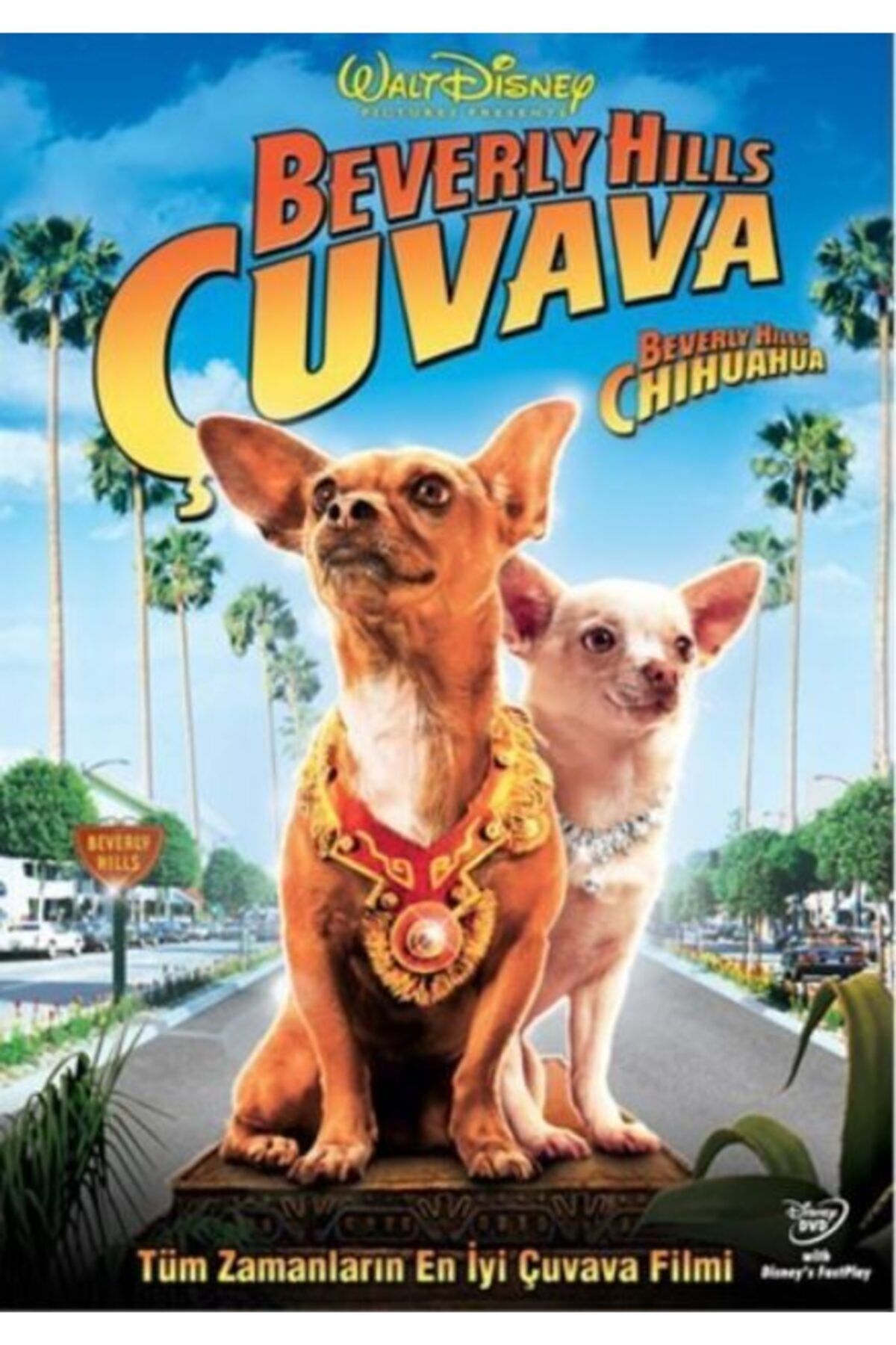 Tiglon Beverly Hills Chuhuahua (beverly Hills Çuvava) Dvd