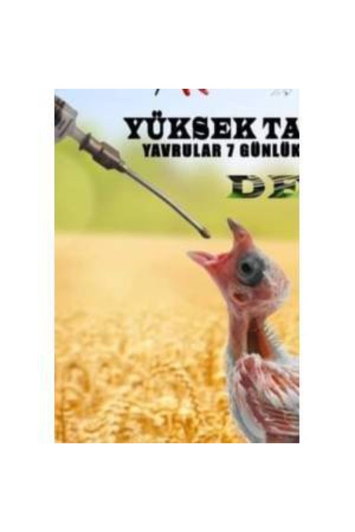 devavit Yavru Kuş Yedirme Aparatı Ilyas Yıldırım Üretimi Güvercin, Papağan, Muhabbet,. Kanarya