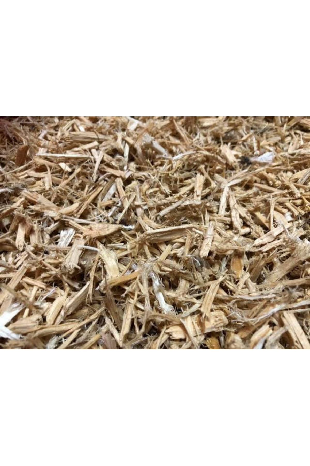master cips Doğal Reçineli Yuvalık Ve Kafes Altlığı 1 Kg