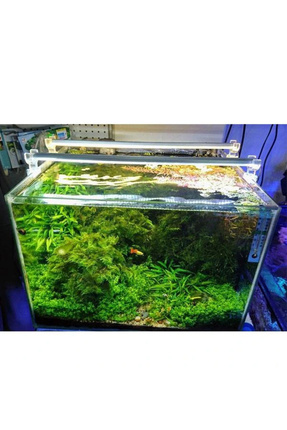 Akvaryum Led Aydınlatma Daylight 50Cm 3000K Image 0