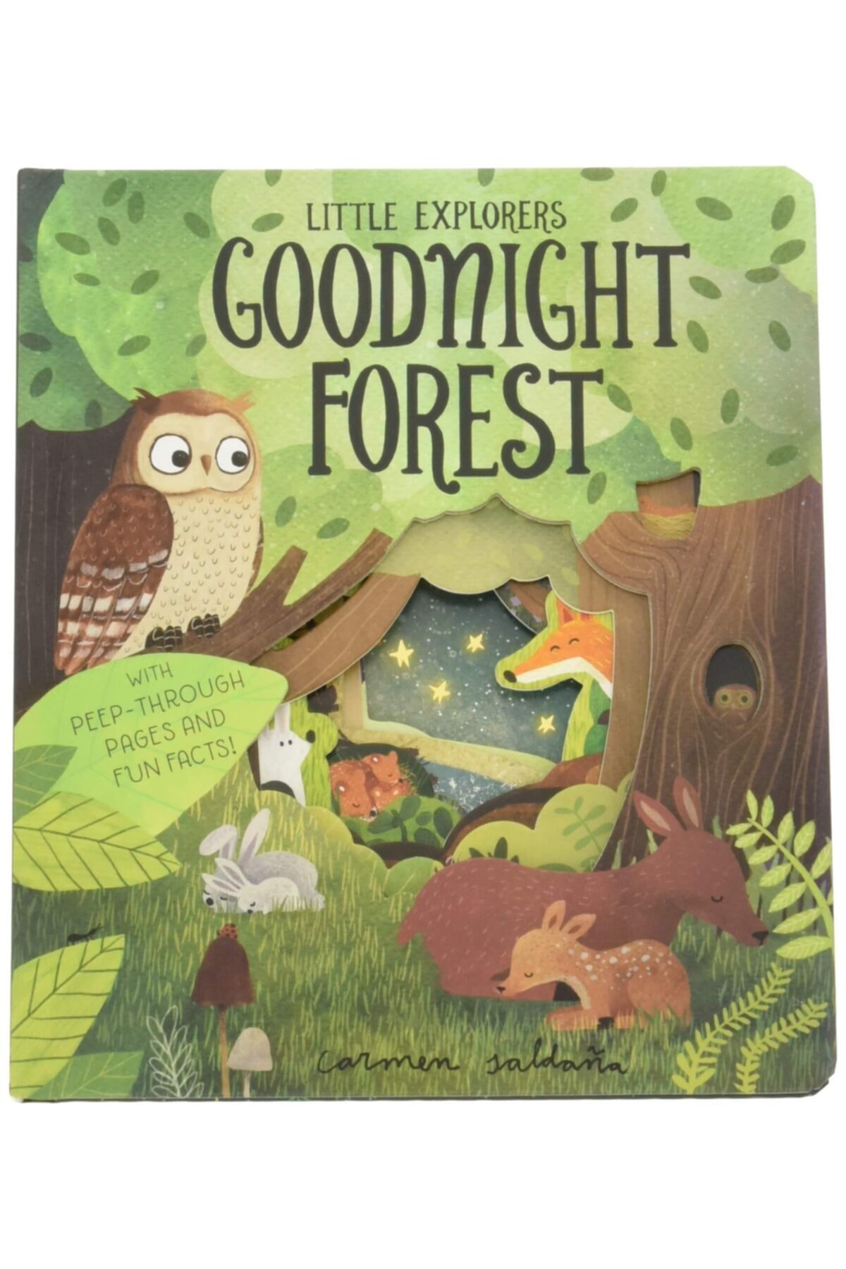 Little Tiger Kids Goodnight Forest (little Explorers)