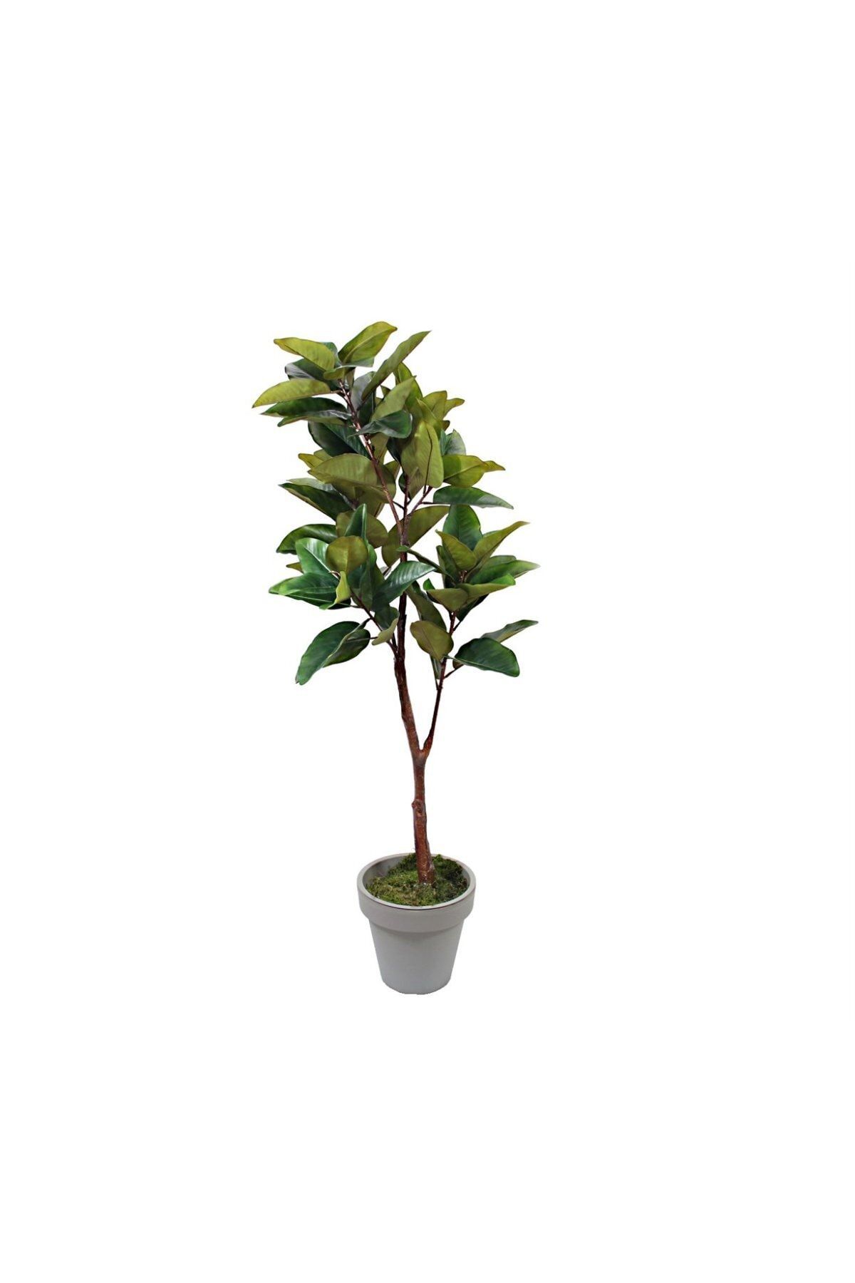 Gardenonya Dekoratif Yapay Manolya Ağacı 160 cm Yapay Ağaç