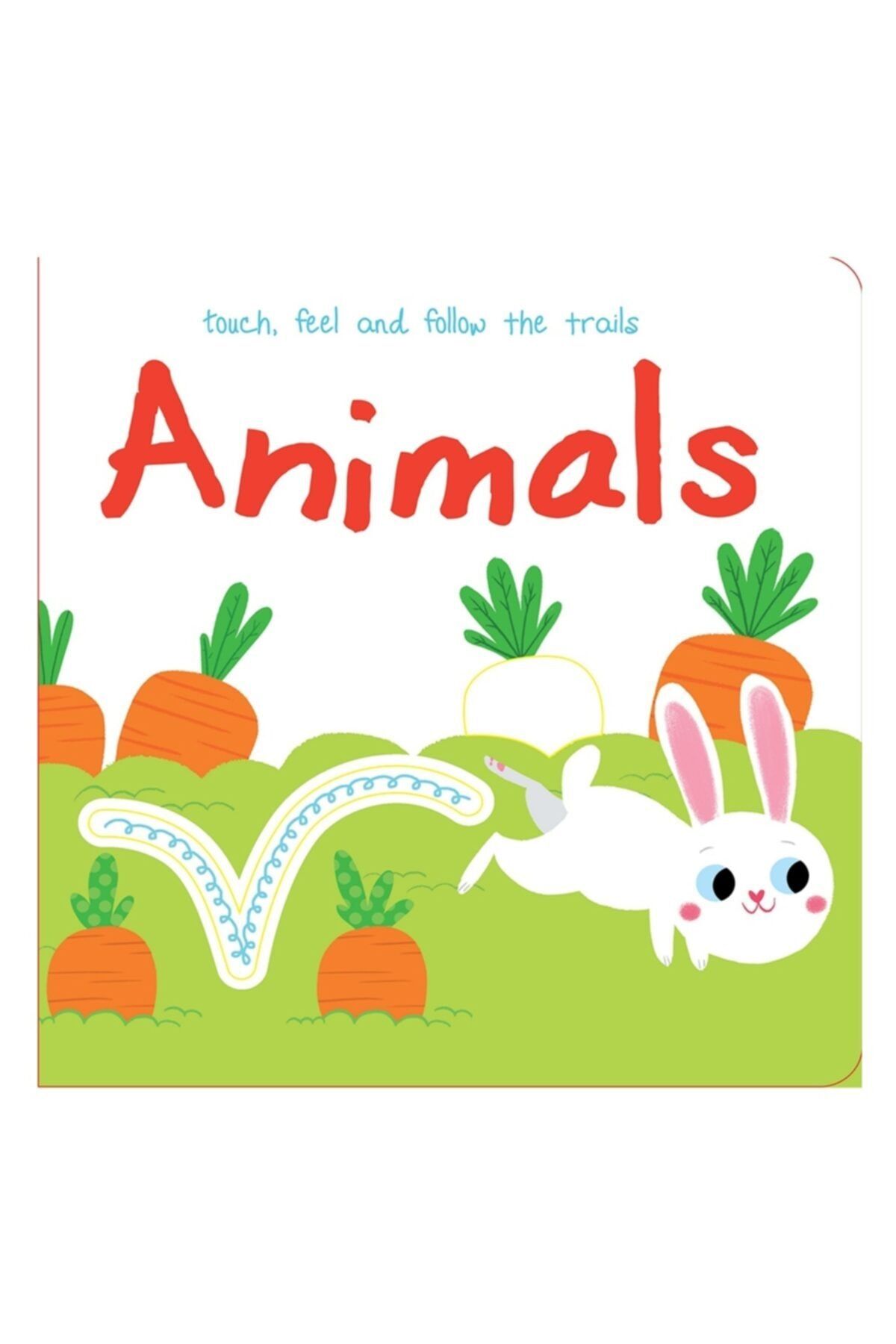 Yoyo Books Anımals - Touch, Feel And Follow The Traıls #yenigelenler