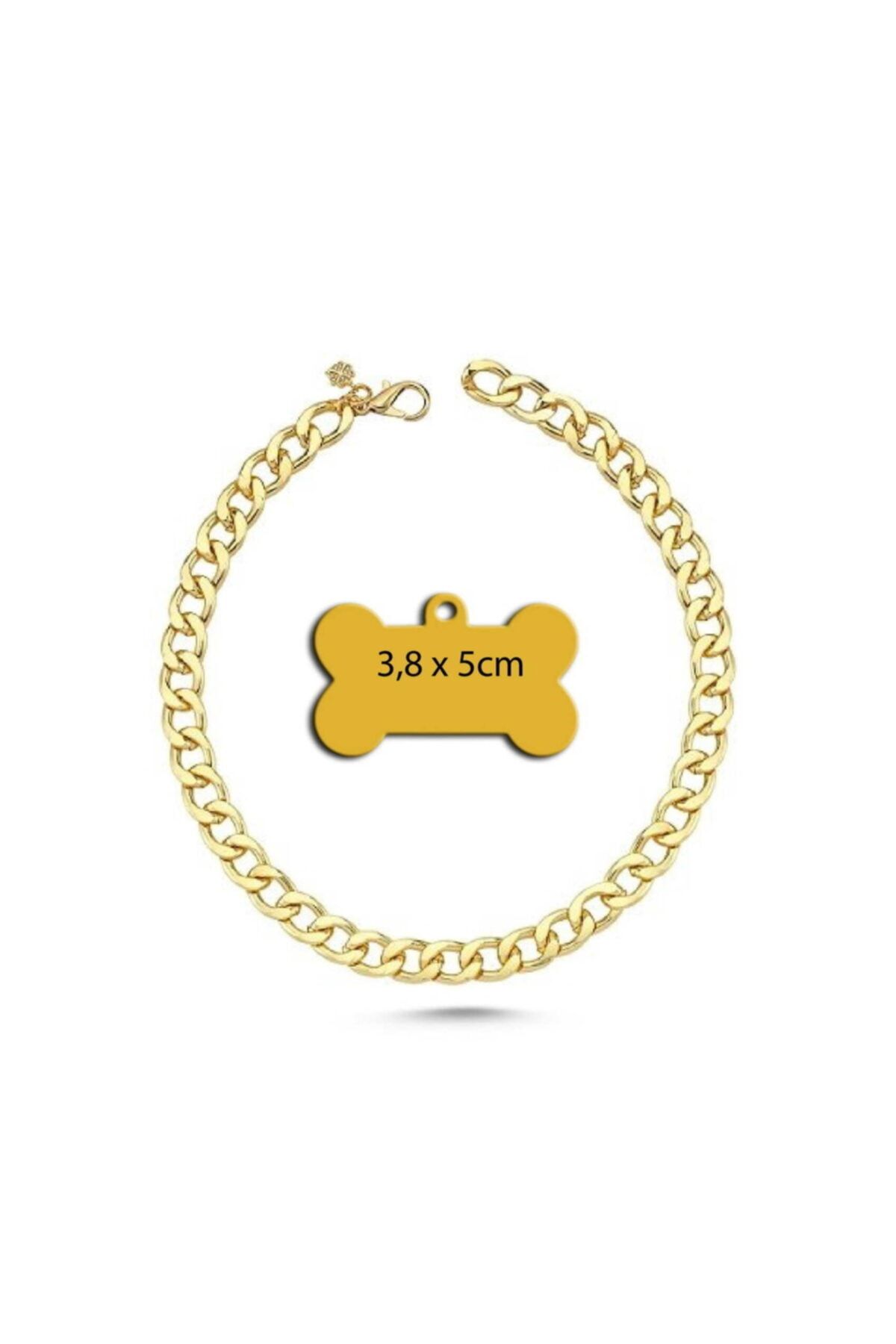 Thepassage Kedi Köpek Kolyesi - Gold-70cm+kemik Şeklinde Künye(büyük Irk Köpekler Için)