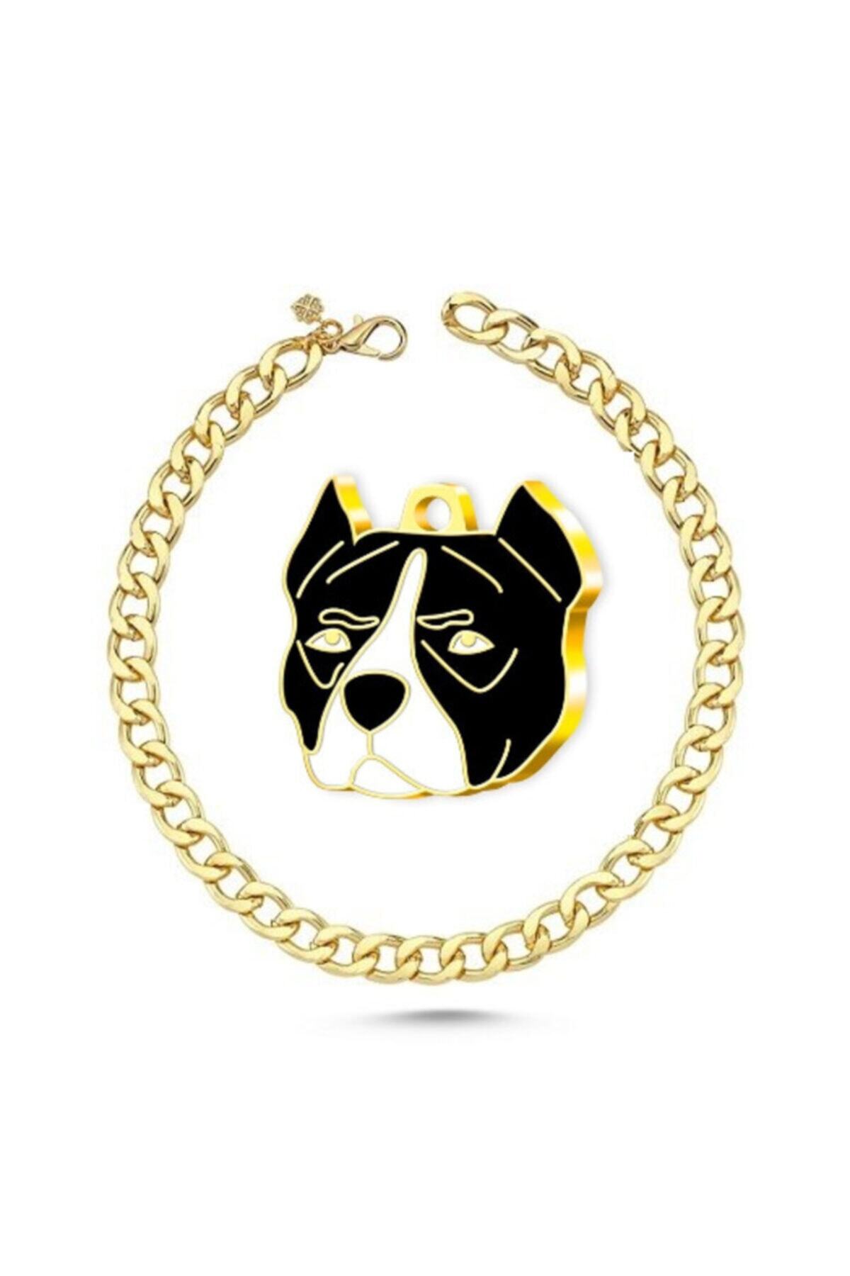 Thepassage Altın Kaplama Pitbull Köpek Künyesi (siyah)+kedi Köpek Kolyesi - Gold 45cm