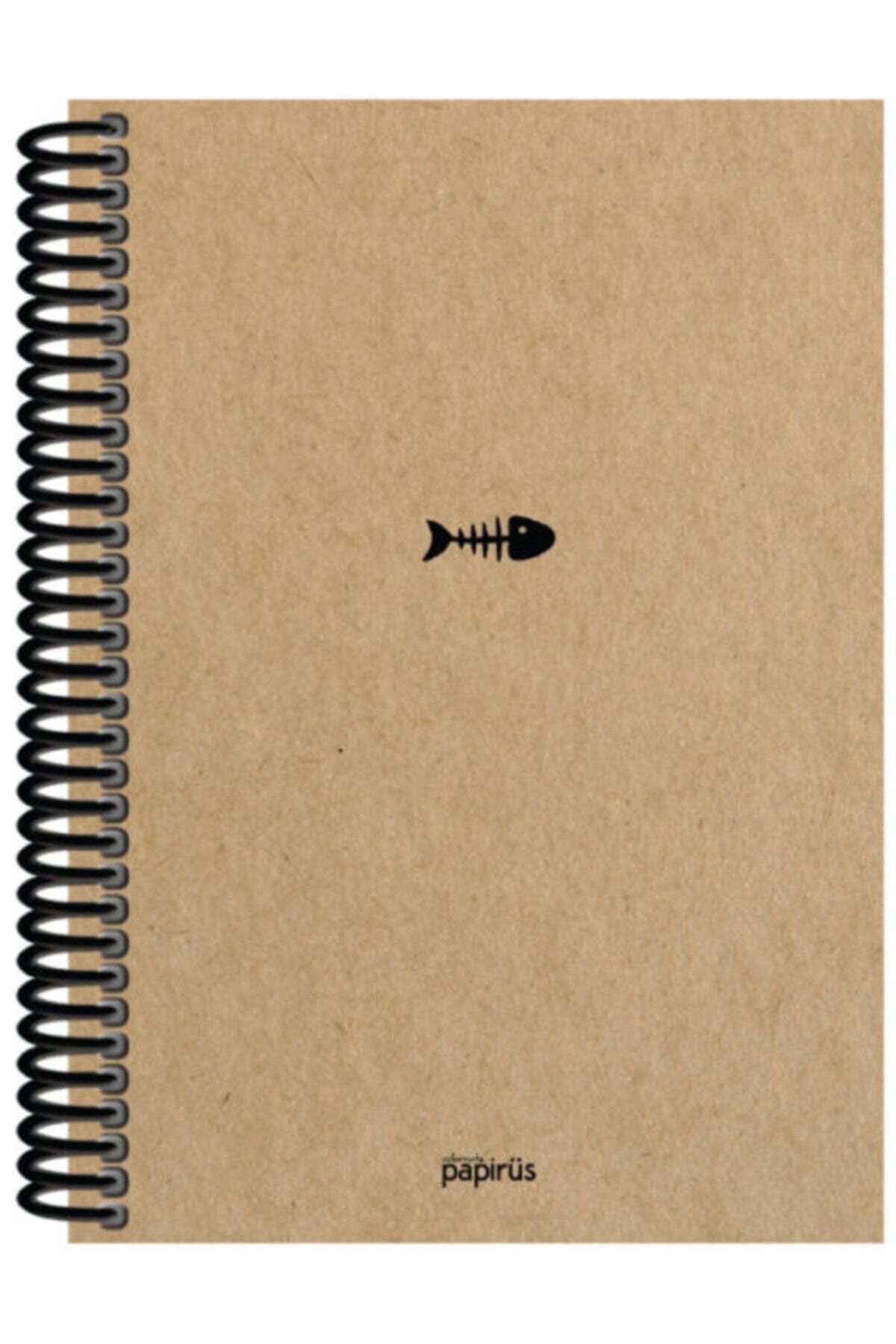 PaPirüs Kraft Sert Kapak Spiralli Çizgisiz Defter 17*24 Cm 100 Yp