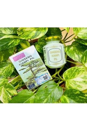 Wisdom Ginseng Kianpi Pil Pro En Iyi Dogal Kilo Alma Iştah Açma Kas Hacim Kazanma Qr Kod Garanti Image 0