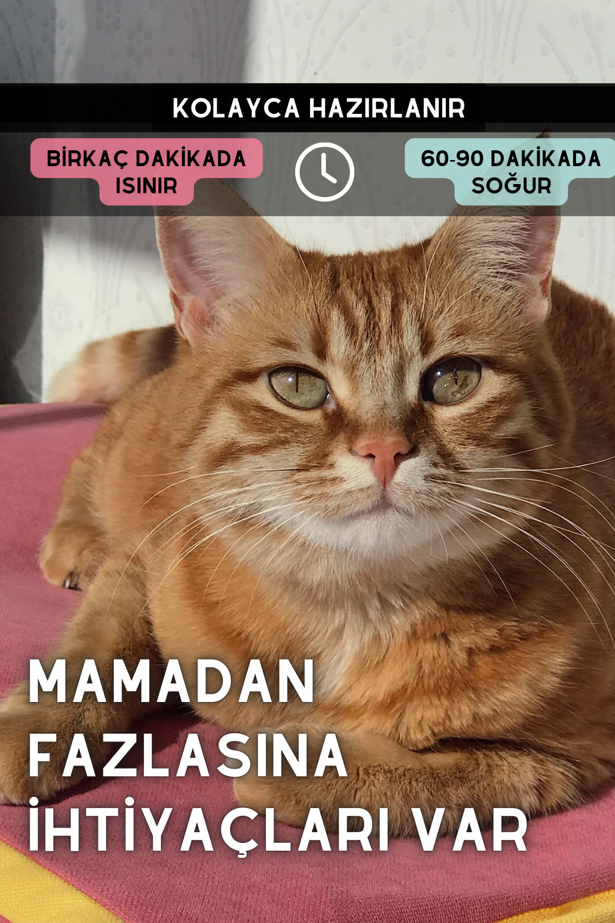 سرین (60X40CM) - تشک 4 فصل گربه / سگ، تشک بالشتکی که می تواند گرم یا سرد استفاده شود