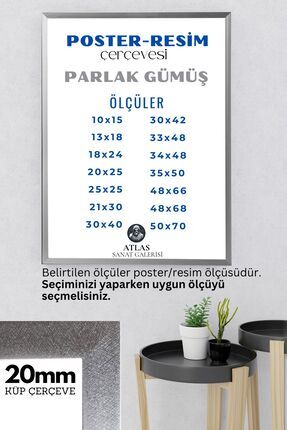 Poster Resim Belge Resim Çerçevesi PVCli Postersiz Resimsiz Gümüş Çerçeve Image 0