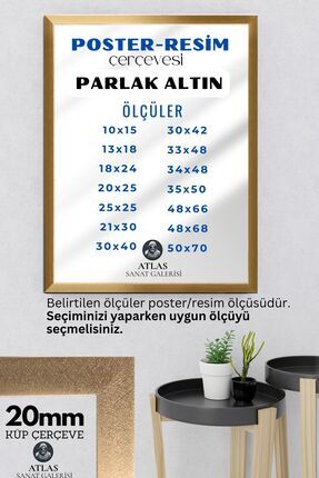 Poster Resim Belge Resim Çerçevesi PVCli Postersiz Resimsiz ALTIN GOLD Çerçeve Image 0