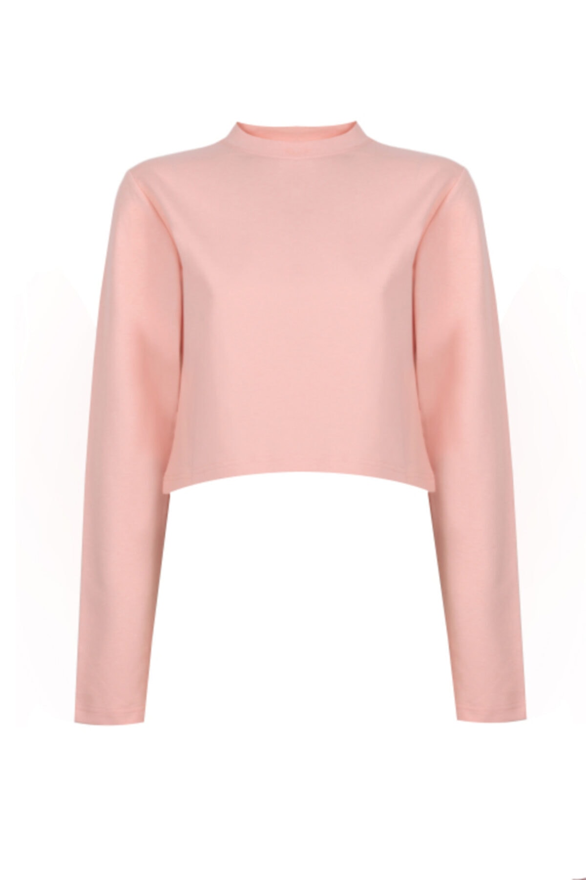 Ryder Act. Kadın Yavruağzı Crop Sweatshirt