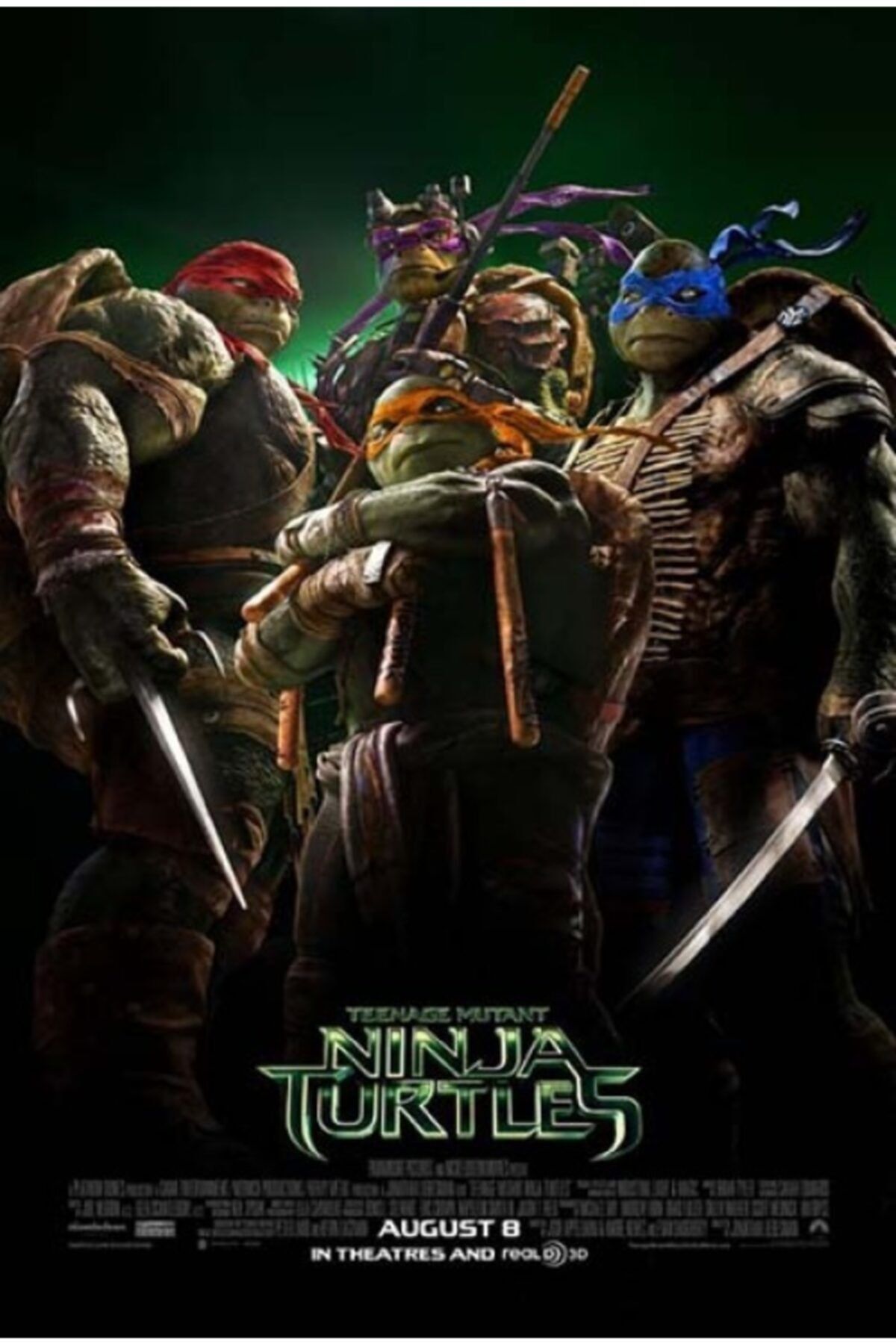 DVD Ninja Kaplumbağalar