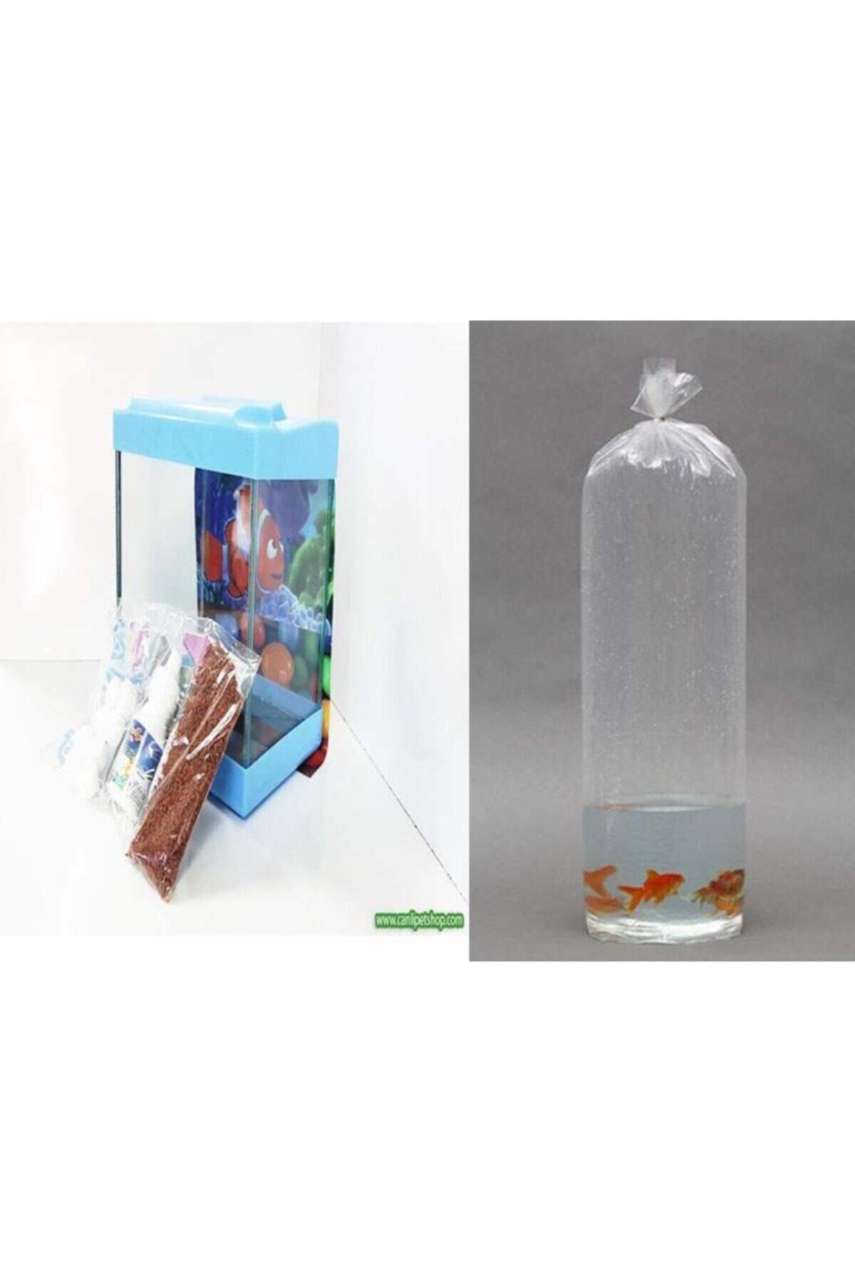 Tropica Hediyelik Mini Akvaryum Standart