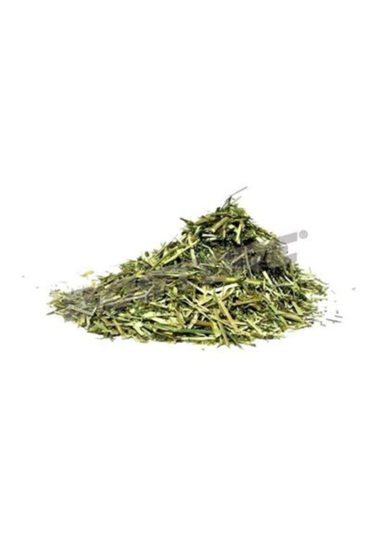 Attar Dünyası Yoğurt Otu 250 Gr.