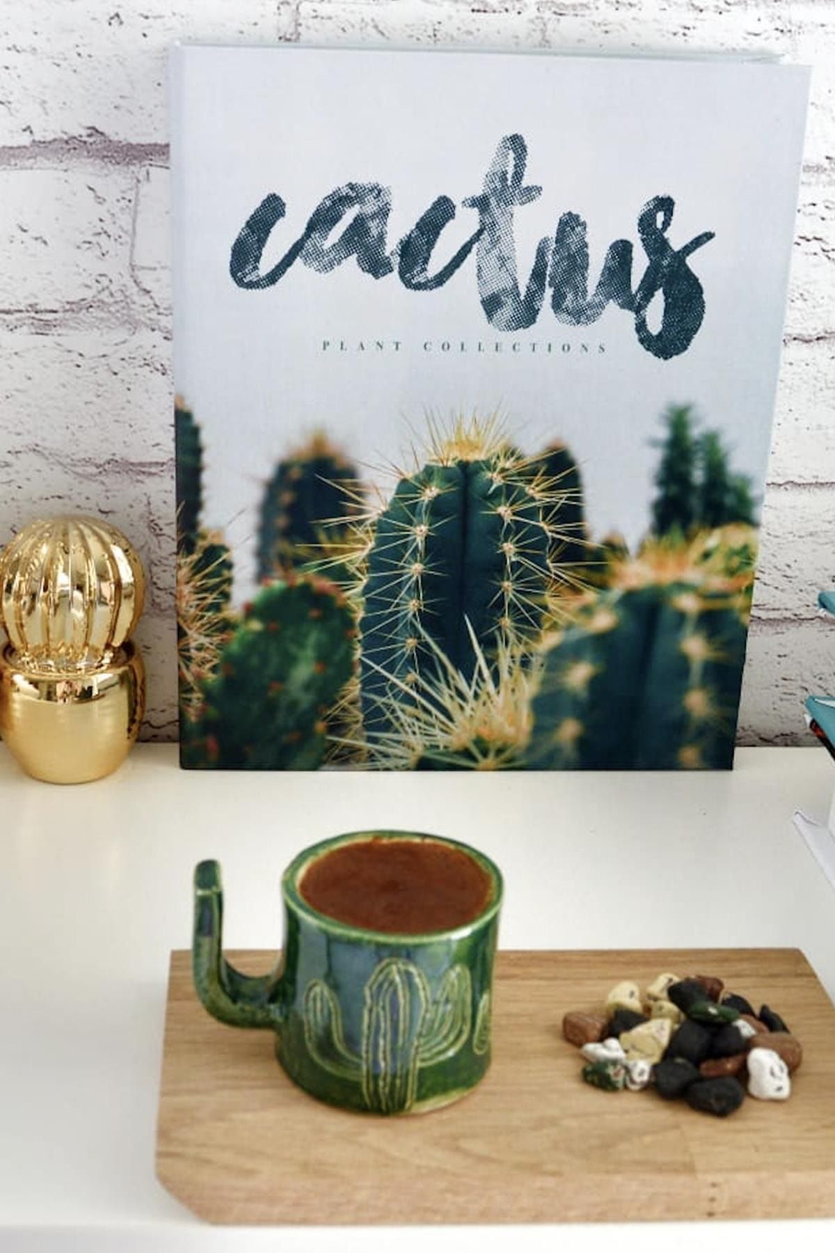 New Obsessions Cactus Kutu Kitap 5399
