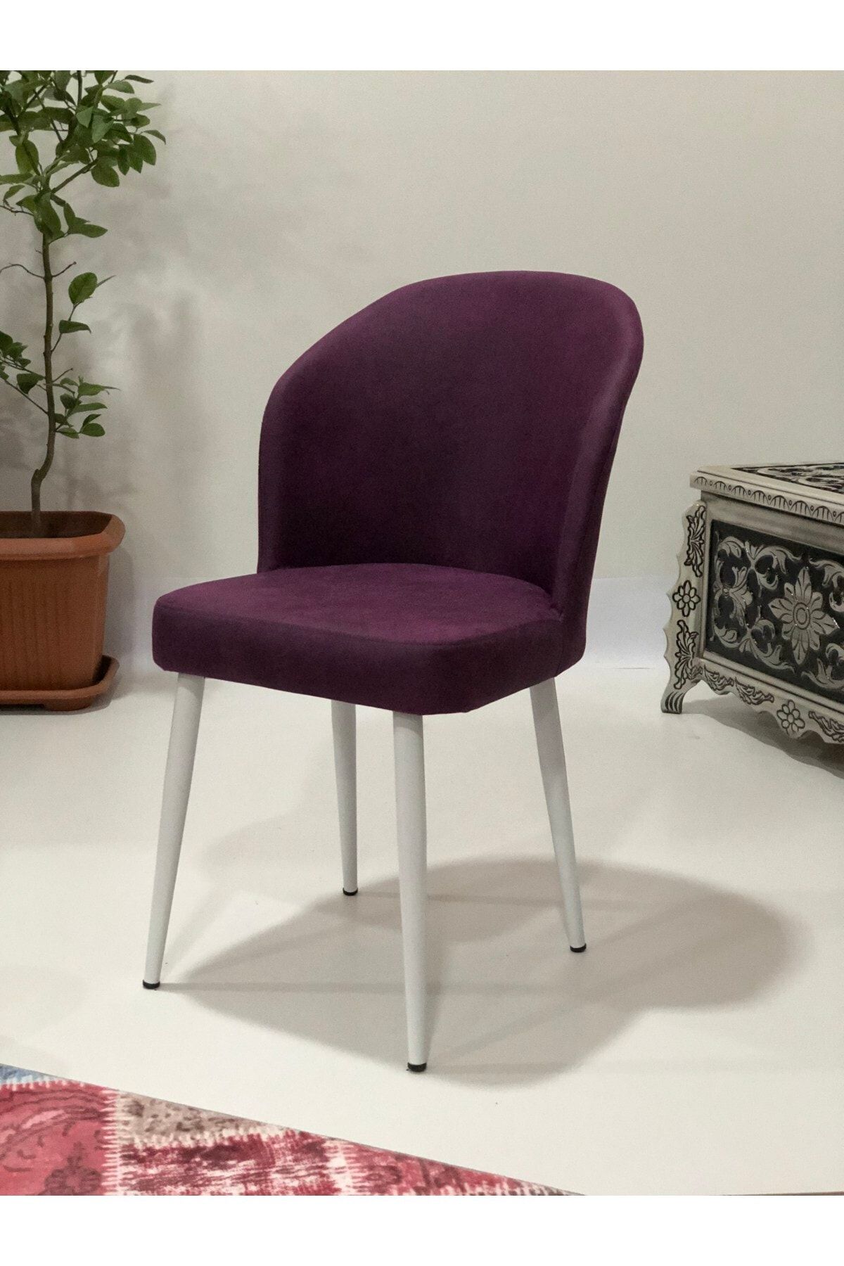 ERVA Stil Metal Ayaklı Sandalye