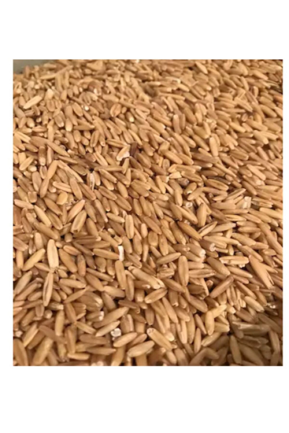 Vivid Bird Vivid Soyulmuş Iç Yulaf 1kg