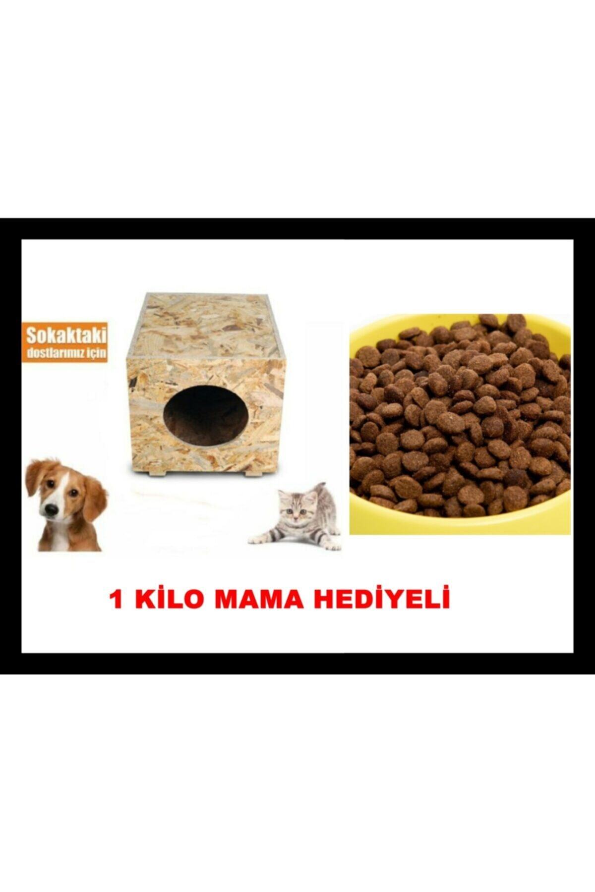 BRN STORE 1 Kg. Mama Hediyeli Dış Mekan Kedi Kulübesi Osb Kedi Evi
