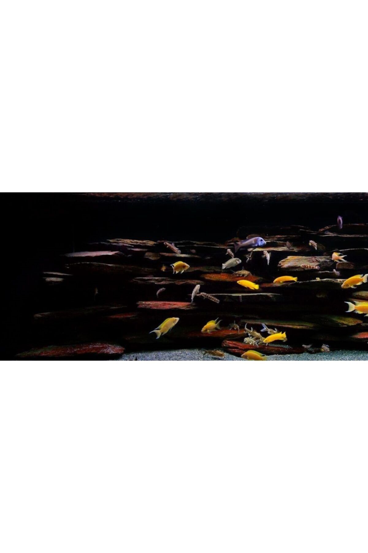 BIO AQUATIC Slate Kayası Akvaryum Için 5 Adet