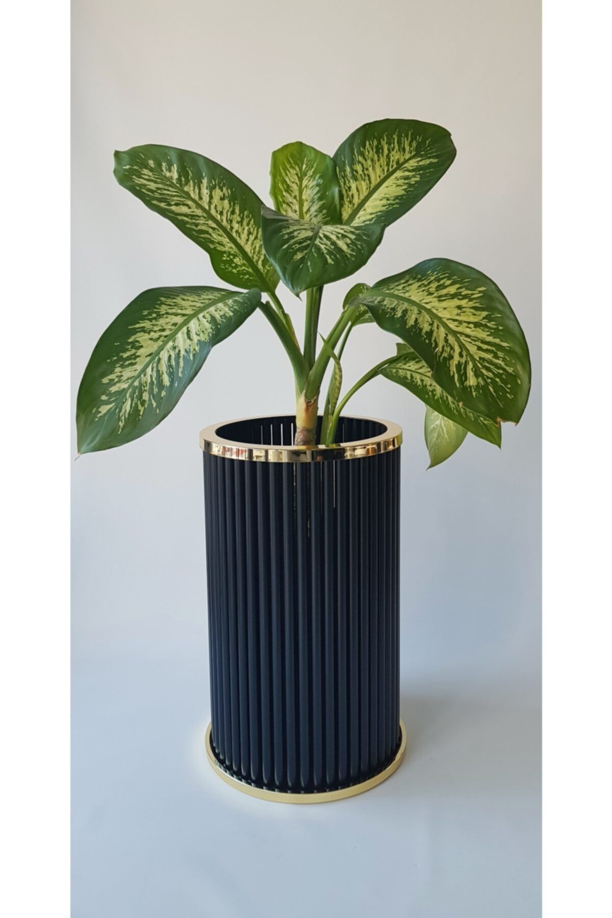 Dama By Kumova Gold Borulu Saksı 65 Cm