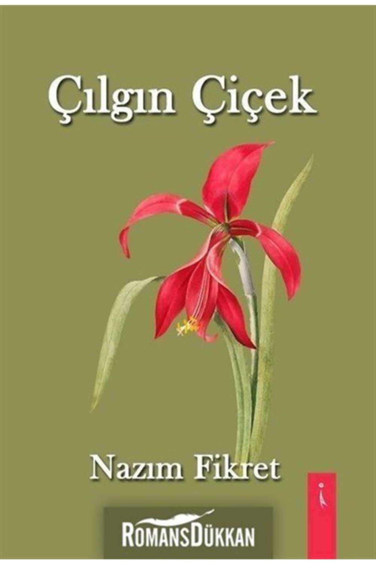 İkinci Adam Yayınları Çılgın Çiçek