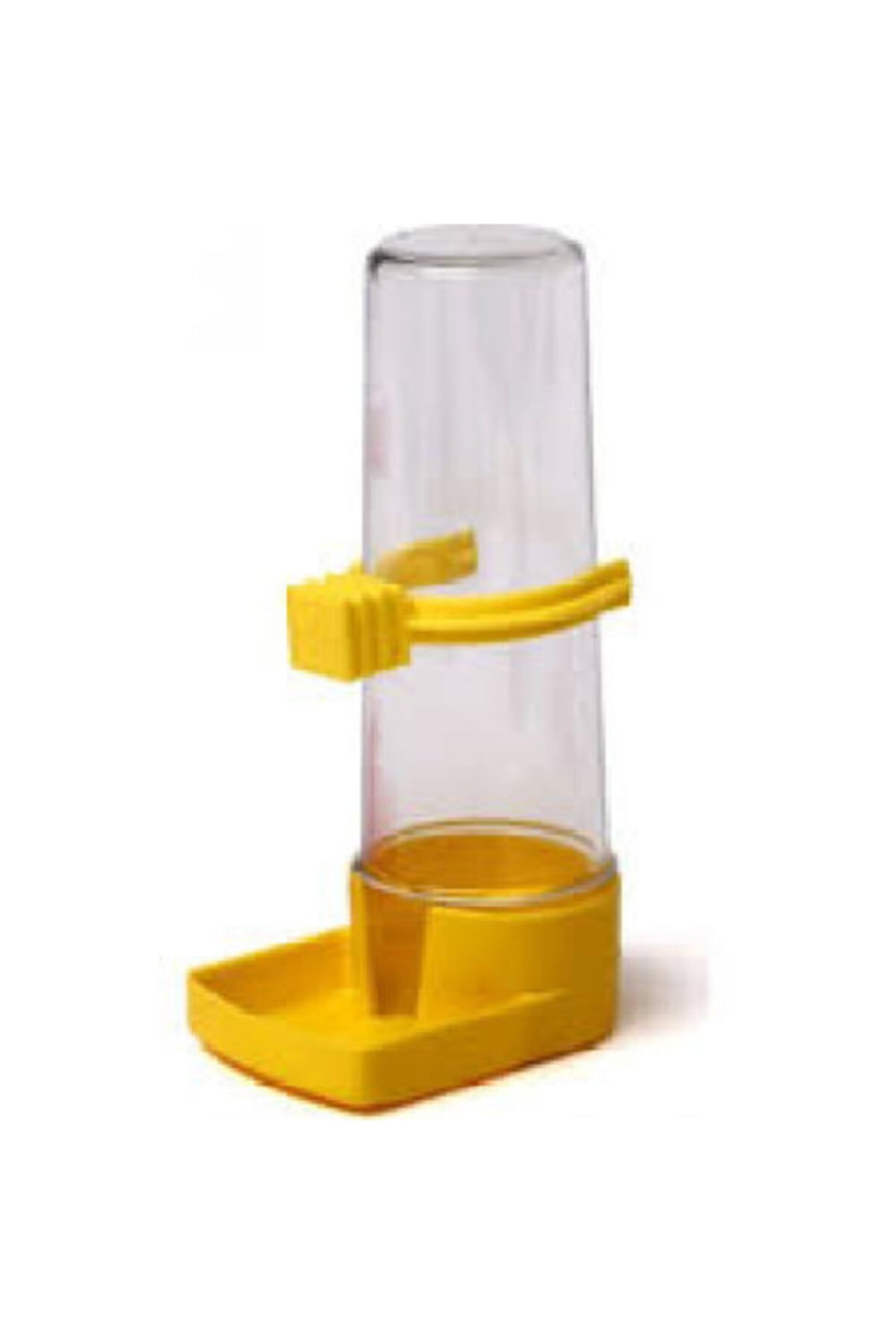 Baylanpet Suluk Muhabbet Kuşu &kanarya 6 Adet