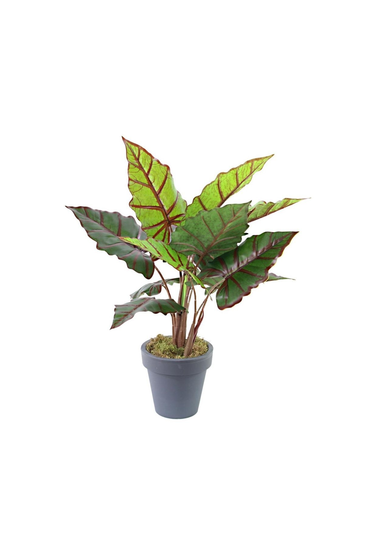 Gardenonya Dekoratif Yapay Alocasia Fil Kulağı Ağacı 75 cm Yapay Ağaç