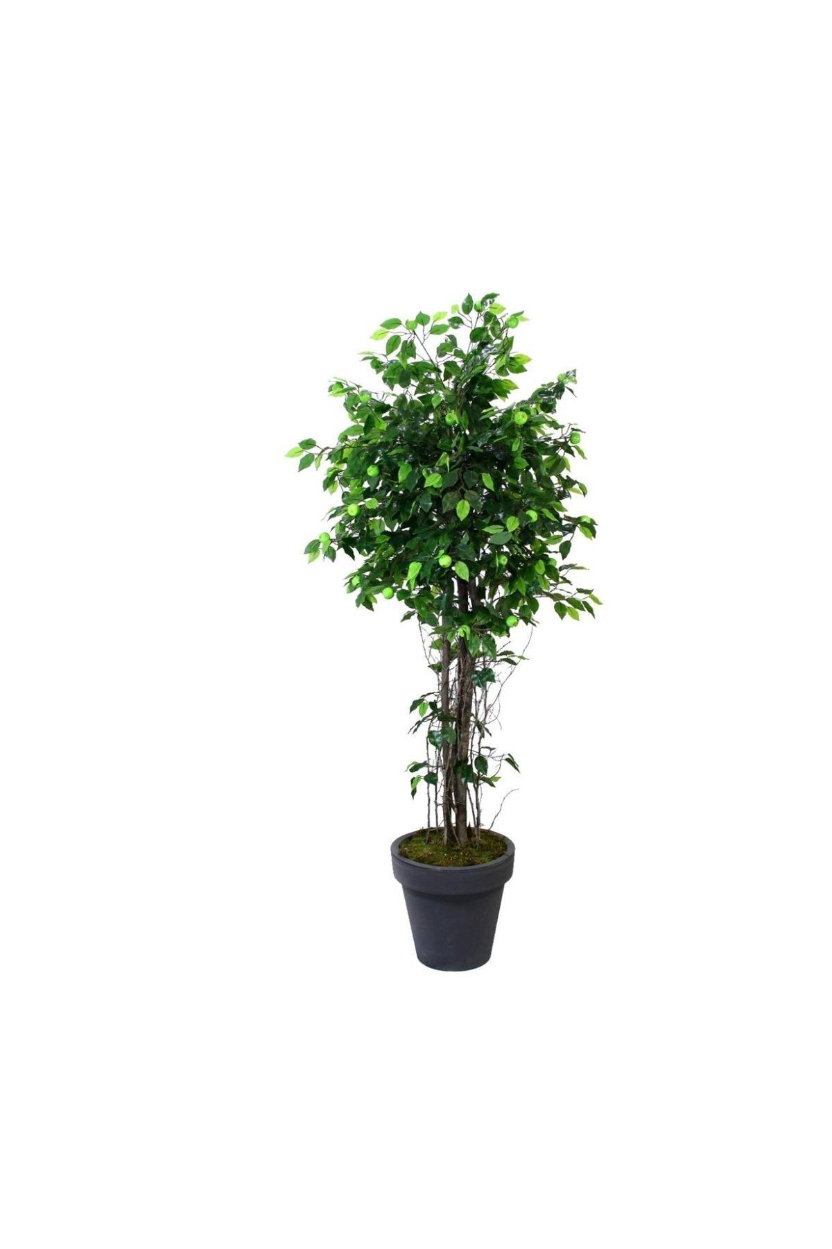 Gardenonya Dekoratif Yapay Mini Elma Ağacı Yeşil 170 cm Yapay Ağaç