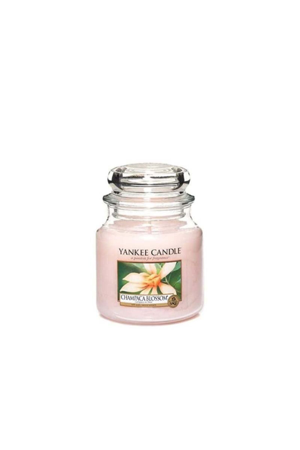 Yankee Candle 1302675e Orta Klasik Mum Champaca B