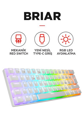Brıar Type-C Bağlantılı RGB Puding Tuşlu Mekanik Red Switch Türkçe Q Gaming Oyuncu Klavyesi Beyaz Image 0