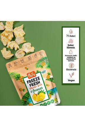 Freeze Fresh Dondurularak Kurutulmuş Ananas 20 gr Image 0
