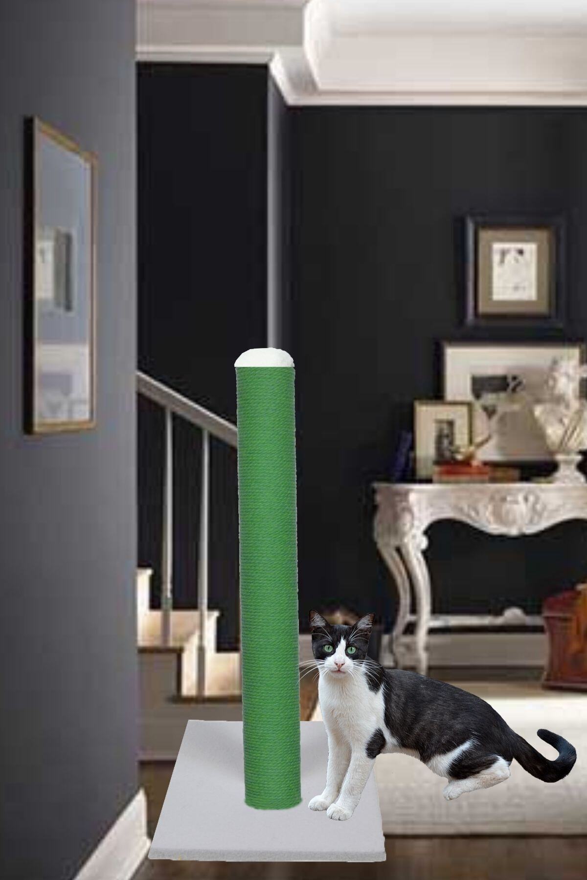 BYPET Kedi Tırmalama Direği 100 Cm Devo Yeşil Kedi Tırmalama Direği