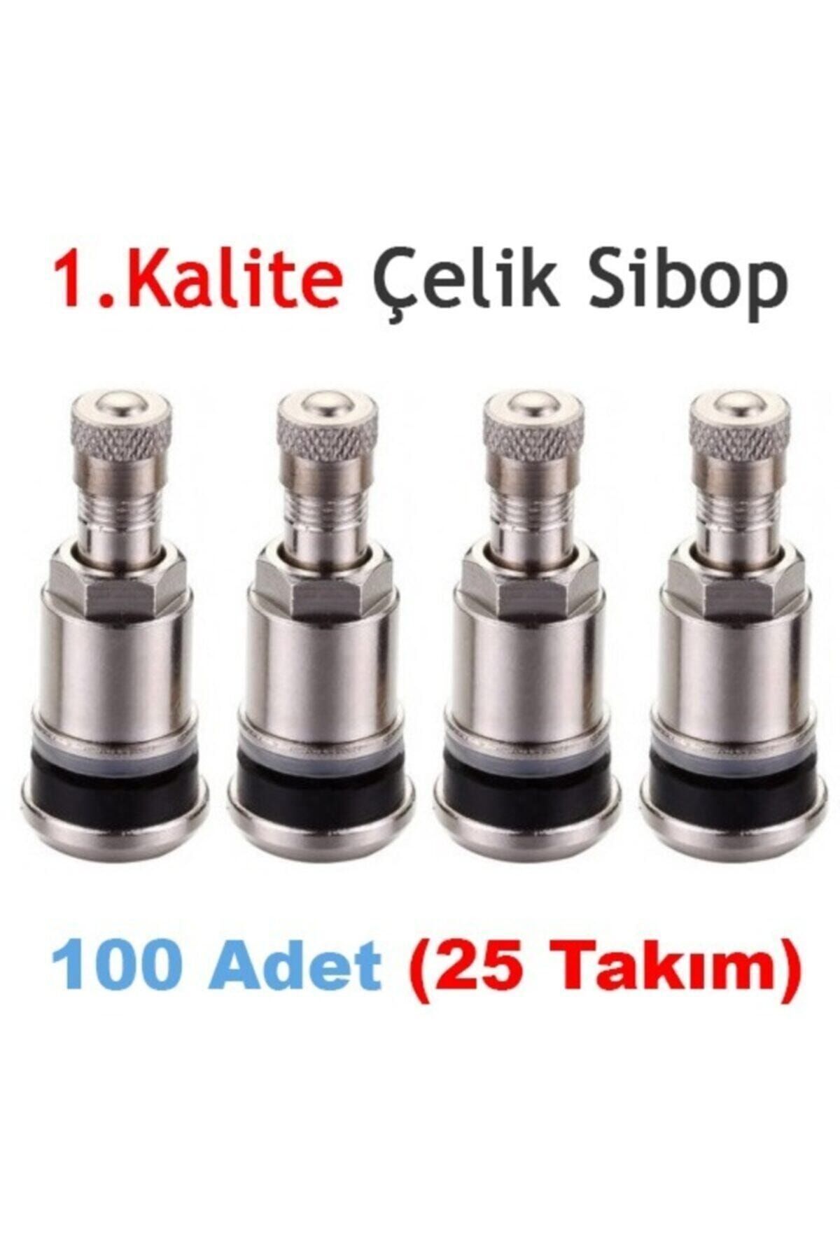 OEM Paslanmaz Çelik Sibop Takımı (100 Adet)
