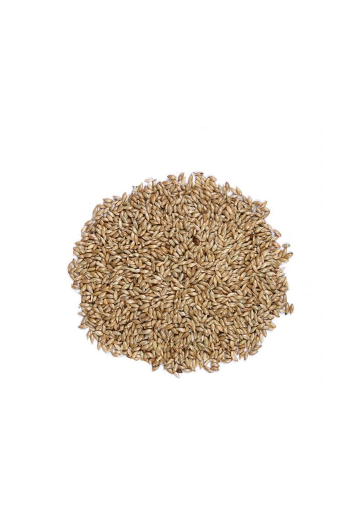 4F Sade Kanarya Yemi 1 Kg