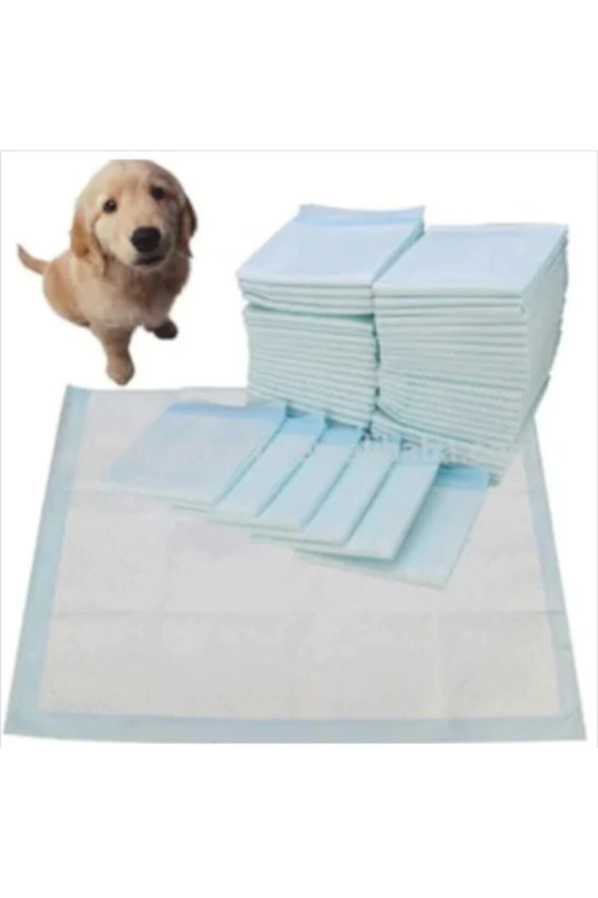 DogsLife Kedi Köpek Çiş Pedi 60x90 Cm 20'li 6 Paket 120 Adet